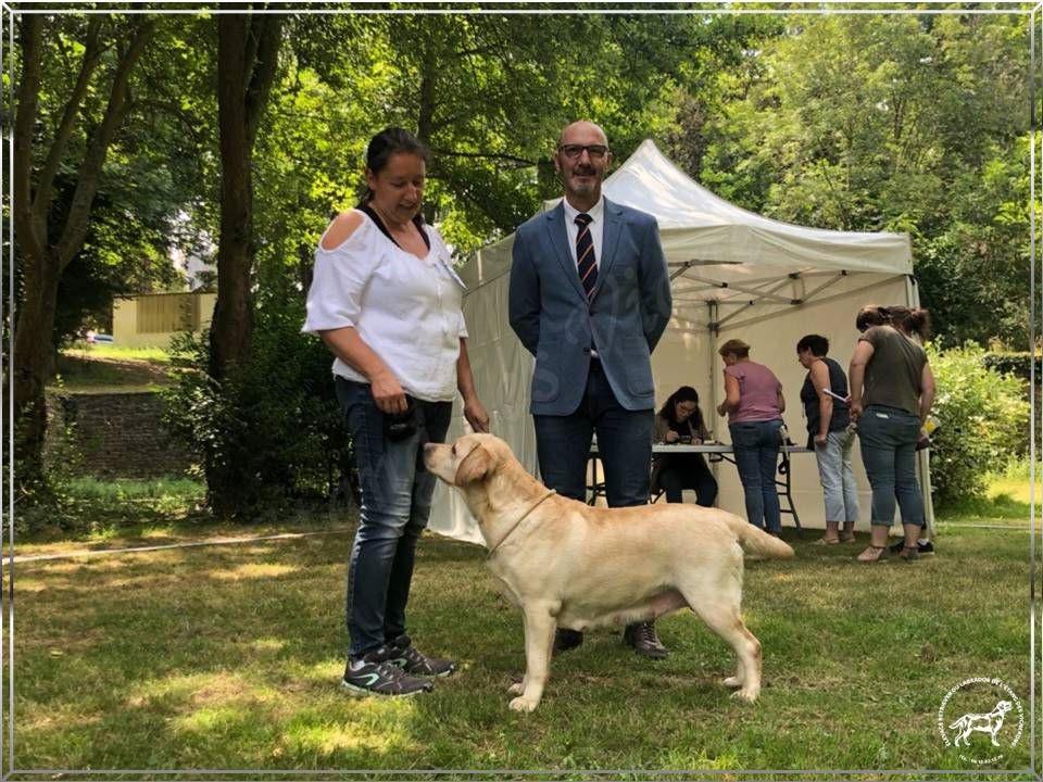 De L'etang Des Vignerons - EXCELLENTS RESULTATS A LA REGIONALE D'ELEVAGE