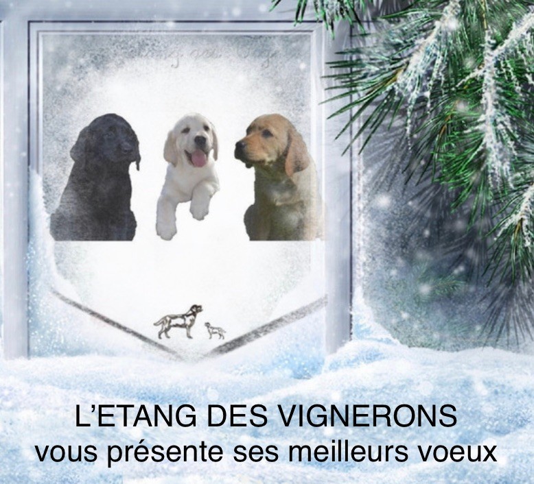De L'etang Des Vignerons - MEILLEURS VOEUX 