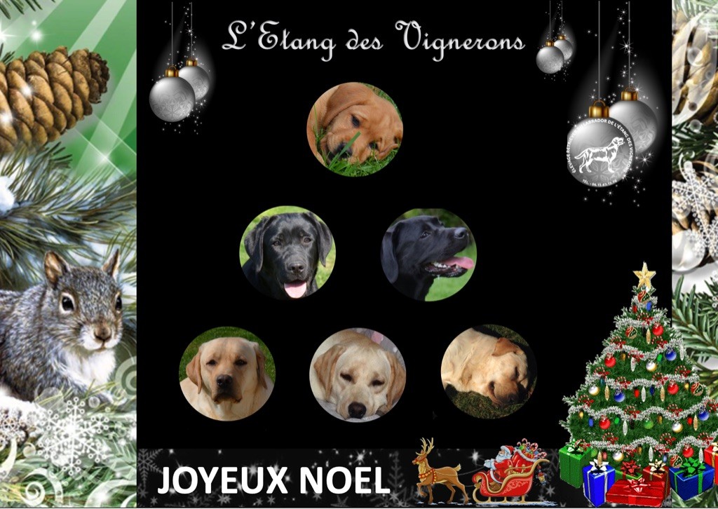 De L'etang Des Vignerons - JOYEUX NOËL