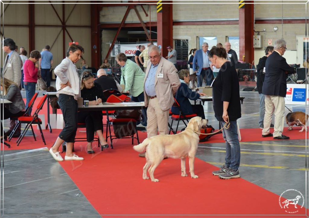 De L'etang Des Vignerons - EXCELLENTS RESULTATS A COMPIEGNE