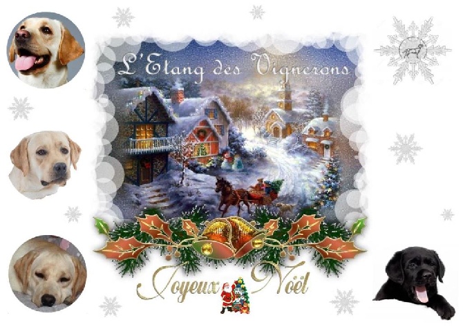 De L'etang Des Vignerons - JOYEUSES FETES