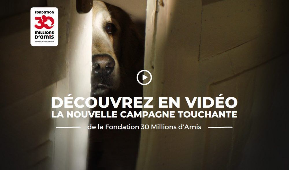 De L'etang Des Vignerons - Campagne 30 MILLIONS D'AMIS contre l'abandon