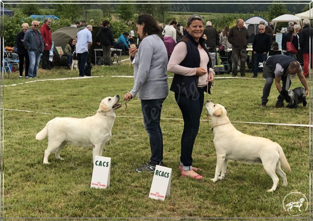 De L'etang Des Vignerons - EXCELLENTS RESULTATS A BAILLEUL