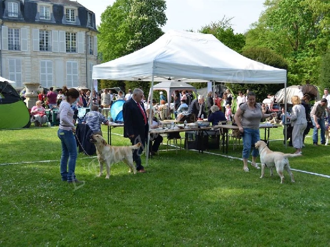 De L'etang Des Vignerons - Les honneurs pour I AM A PRETTY GIRL