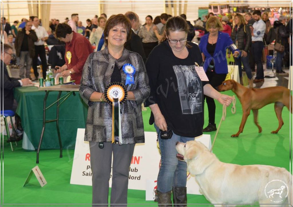 De L'etang Des Vignerons - EXCELLENTS RESULTATS A DOUAI