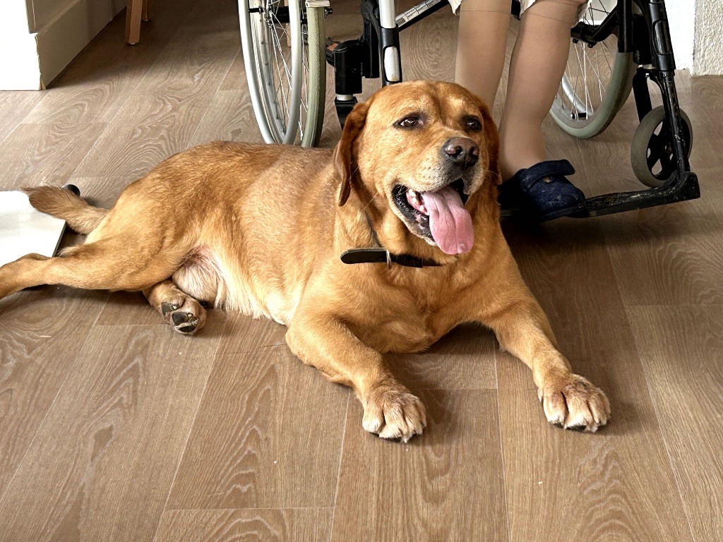 Redford De L'etang Des Vignerons