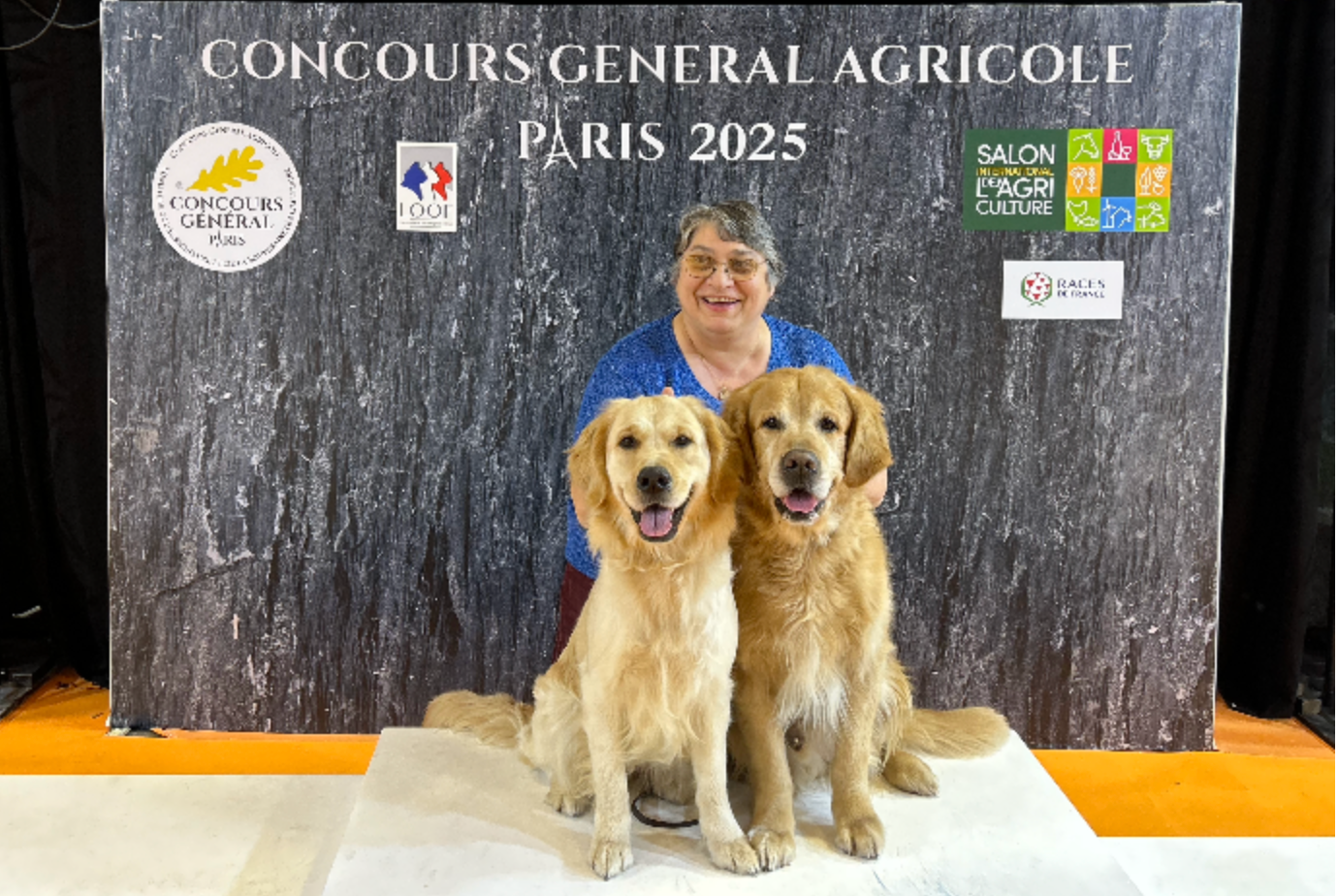 CHIOTS GOLDEN RETRIEVER ATTENDUS MI-MAI